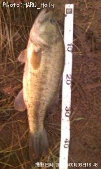 �֥�å��Х�