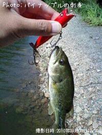 ¥Ö¥é¥Ã¥¯¥Ð¥¹