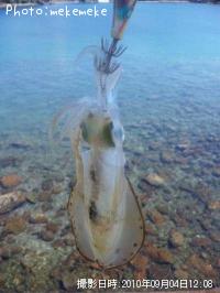 ¥¢¥ª¥ê¥¤¥«