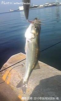 �����Х�