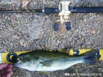 �֥�å��Х�