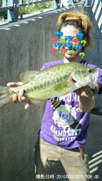 ¥Ö¥é¥Ã¥¯¥Ð¥¹