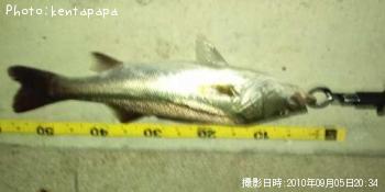 �����Х�