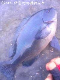 �����᥸��