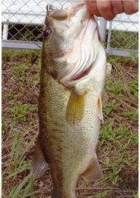 �֥�å��Х�