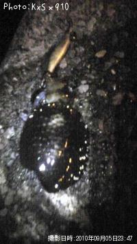 �����ꥤ��