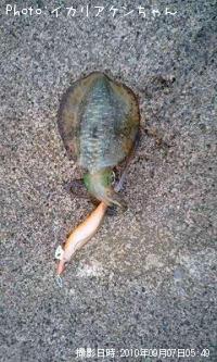 ¥¢¥ª¥ê¥¤¥«