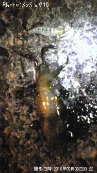 �����ꥤ��