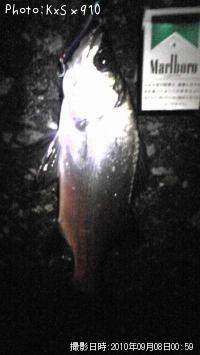 �����Х�