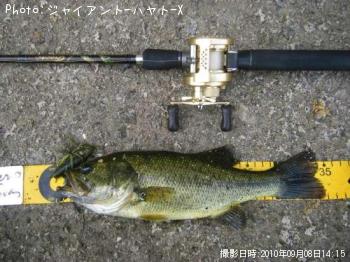 ¥Ö¥é¥Ã¥¯¥Ð¥¹