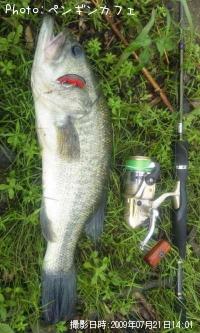 ¥Ö¥é¥Ã¥¯¥Ð¥¹