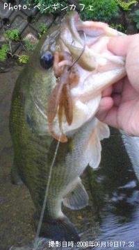 ¥Ö¥é¥Ã¥¯¥Ð¥¹