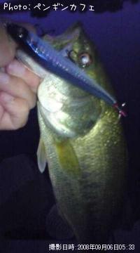 �֥�å��Х�