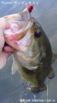 ¥Ö¥é¥Ã¥¯¥Ð¥¹