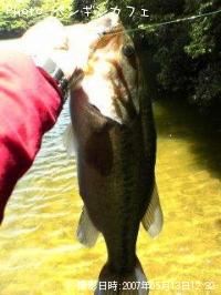 �֥�å��Х�