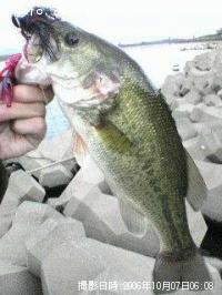 ¥Ö¥é¥Ã¥¯¥Ð¥¹