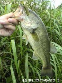 �֥�å��Х�