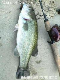 �֥�å��Х�