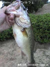 �֥�å��Х�