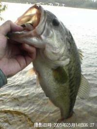 �֥�å��Х�