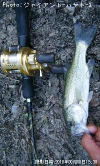 ¥Ö¥é¥Ã¥¯¥Ð¥¹