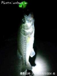 �֥�å��Х�