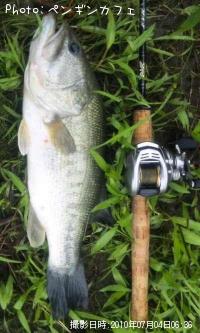 �֥�å��Х�