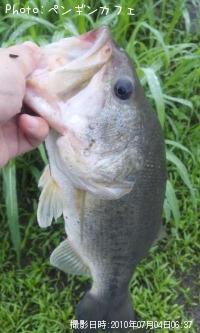 �֥�å��Х�