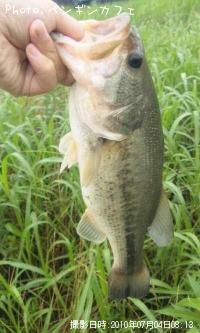 �֥�å��Х�