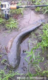 �֥�å��Х�