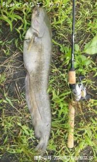 �֥�å��Х�