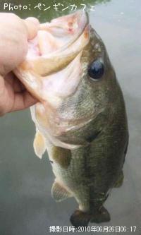 �֥�å��Х�