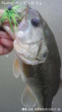 ¥Ö¥é¥Ã¥¯¥Ð¥¹