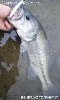 �֥�å��Х�