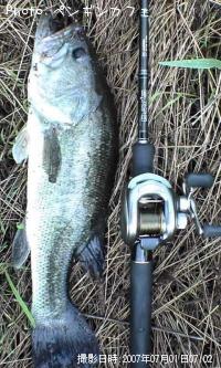 �֥�å��Х�