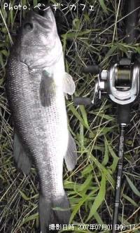 �֥�å��Х�