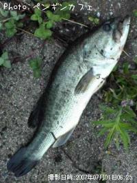 �֥�å��Х�