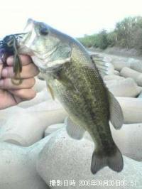 �֥�å��Х�