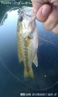 �֥�å��Х�