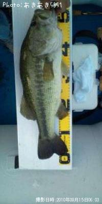 ¥Ö¥é¥Ã¥¯¥Ð¥¹