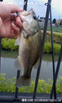 �֥�å��Х�