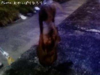 �����ꥤ��