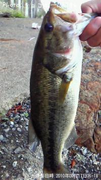 �֥�å��Х�