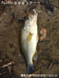 ¥Ö¥é¥Ã¥¯¥Ð¥¹