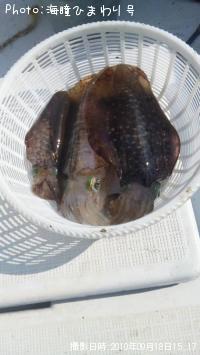 ¥¢¥ª¥ê¥¤¥«