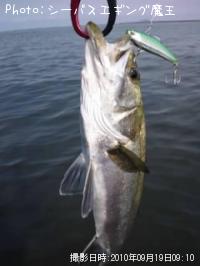 �����Х�