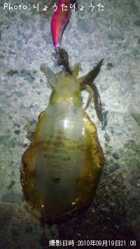 �����ꥤ��