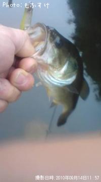 �֥�å��Х�