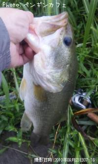 �֥�å��Х�