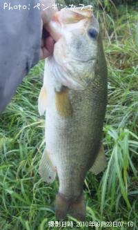 �֥�å��Х�